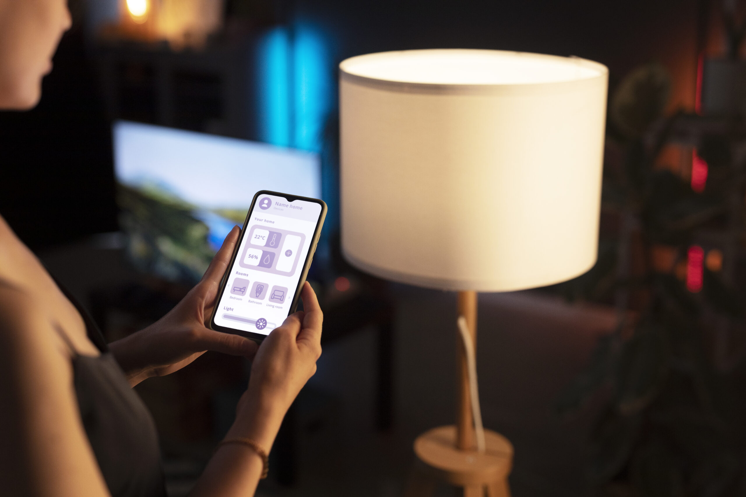 House Smart Lighting Systems